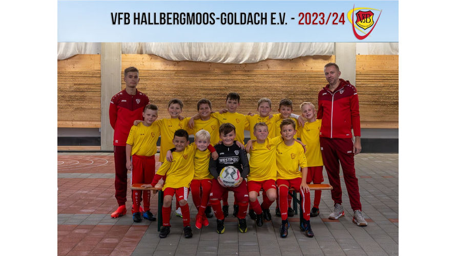 VfB Hallbergmoos U10-2