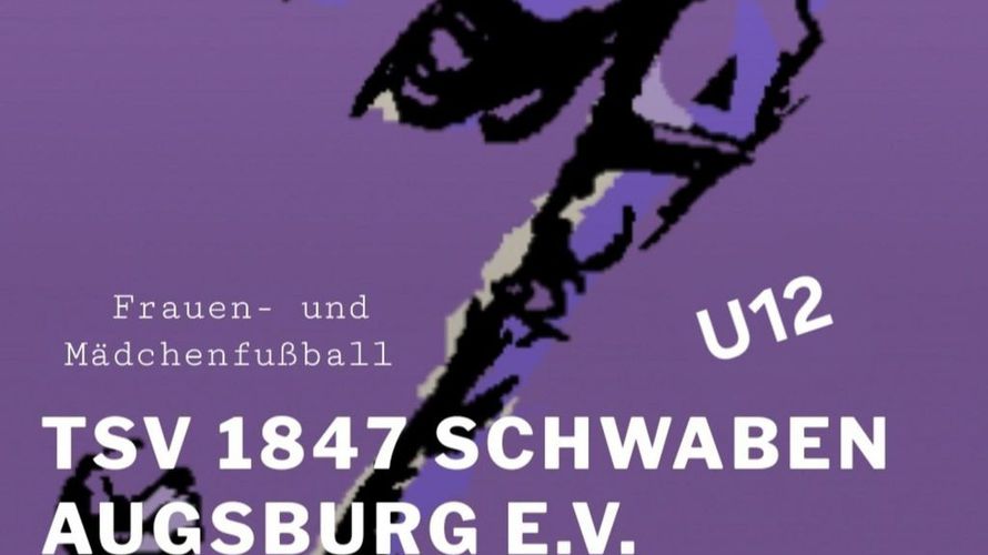 TSV Schwaben Augsburg 3