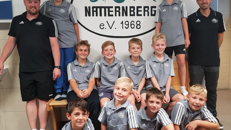 TSV Natternberg III