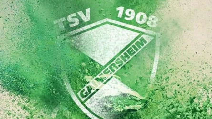TSV Gaimersheim 2